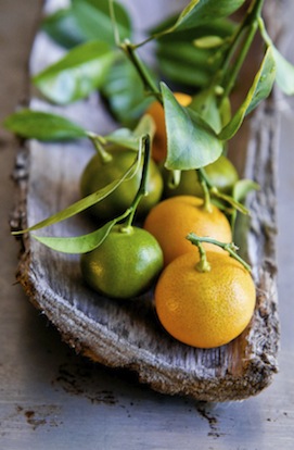 porter & cu_meyer lemon_lime_leaves_wooden_bowl